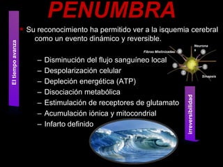 PENUMBRA
                   * Su reconocimiento ha permitido ver a la isquemia cerebral
                       como un evento dinámico y reversible.
El tiempo avanza




                                                                                                 Neurona
                                                                                                 s
                                                        Fibras Mielinizadas

                        –   Disminución del flujo sanguíneo local
                        –   Despolarización celular
                                                                                                    Sinapsis
                        –   Depleción energética (ATP)
                        –   Disociación metabólica




                                                                              irreversibilidad
                        –   Estimulación de receptores de glutamato
                        –   Acumulación iónica y mitocondrial
                        –   Infarto definido
 