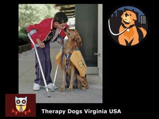 Therapy Dogs Virginia USA
 