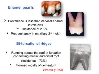 PPT - TREATMENT IN FURCATION INVOLVEMENT.pptx