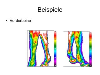 Beispiele
• Vorderbeine
 