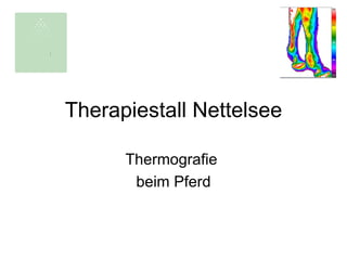 Therapiestall Nettelsee

      Thermografie
       beim Pferd
 