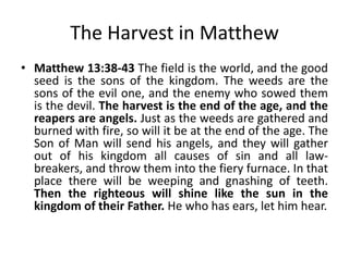The Harvest in Matthew
• Matthew 13:38-43 The field is the world, and the good
seed is the sons of the kingdom. The weeds are the
sons of the evil one, and the enemy who sowed them
is the devil. The harvest is the end of the age, and the
reapers are angels. Just as the weeds are gathered and
burned with fire, so will it be at the end of the age. The
Son of Man will send his angels, and they will gather
out of his kingdom all causes of sin and all lawbreakers, and throw them into the fiery furnace. In that
place there will be weeping and gnashing of teeth.
Then the righteous will shine like the sun in the
kingdom of their Father. He who has ears, let him hear.

 