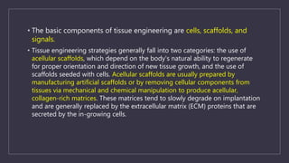 Past, Present And Future Of Regenerative Tissue Engineering | PPTX