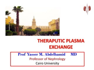 Prof Yasser M. Abdelhamid MD
Professor of Nephrology
Cairo University
 