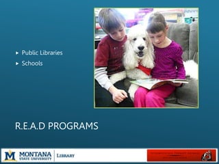 Dog Library Program Who Let the Dogs In? Therapy Animals in Libraries | PPTX