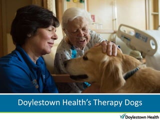 Doylestown Health’s Therapy Dogs
 