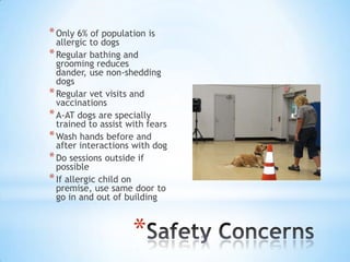 * Only 6% of population is

allergic to dogs
* Regular bathing and
grooming reduces
dander, use non-shedding
dogs
* Regular vet visits and
vaccinations
* A-AT dogs are specially
trained to assist with fears
* Wash hands before and
after interactions with dog
* Do sessions outside if
possible
* If allergic child on
premise, use same door to
go in and out of building

*

 