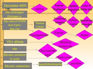 Dec.androgen/
Estrogen p.
Decrease ADH
Dec.met.of CHON
And Carb./
Dec.Fat
bile
Vit.k absop.
hyperbilirubinemia
Plasma
CHON
Bilirubin metabolism
Bilirubin excretion
In urine
Clay-colored
stool
Dark urine
jaundice
Bleeding
tendencies
Spider
angiomas
Testicular
atrophy
Gyneco
mastia
Palmar
Erythema
Loss of
Body hair
Menstrual
changes
edema
Hypoglycemia Acites
Edema
 