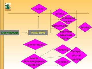 Liver fibrosisLiver fibrosis Portal HPN
ascites
Anemia
Thrombocytopenia
leukopenia
splenomegaly
bleeding
hemorrhoids
Superficial
Abdominal
varices
Esophageal
varices
edema
infection
Delayed
Wound
healing
bleeding
 