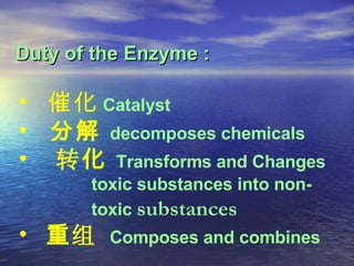 Duty of the Enzyme  : <ul><li>催化   Catalyst </li></ul><ul><li>分解   decomposes chemicals </li></ul><ul><li>转 化   Transforms...