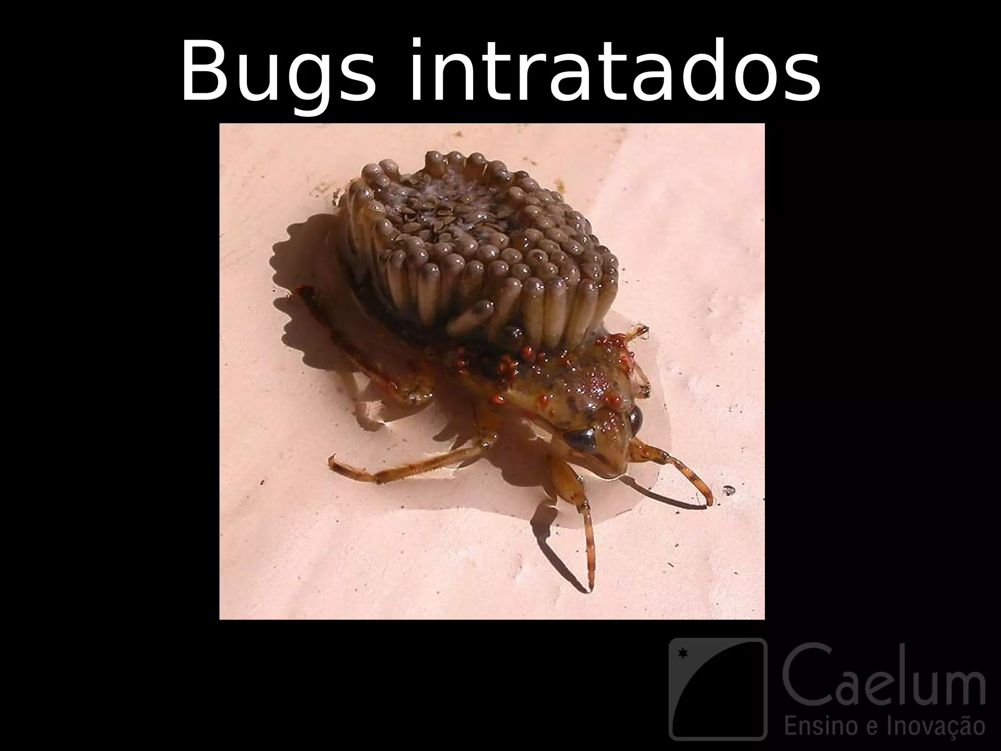 Bugs intratados
 