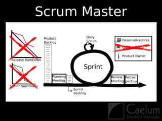 Scrum Master
 