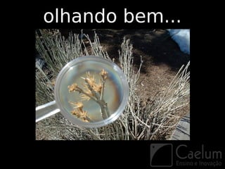 olhando bem...
 