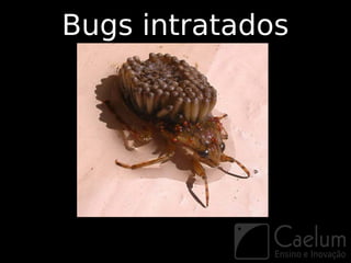Bugs intratados
 