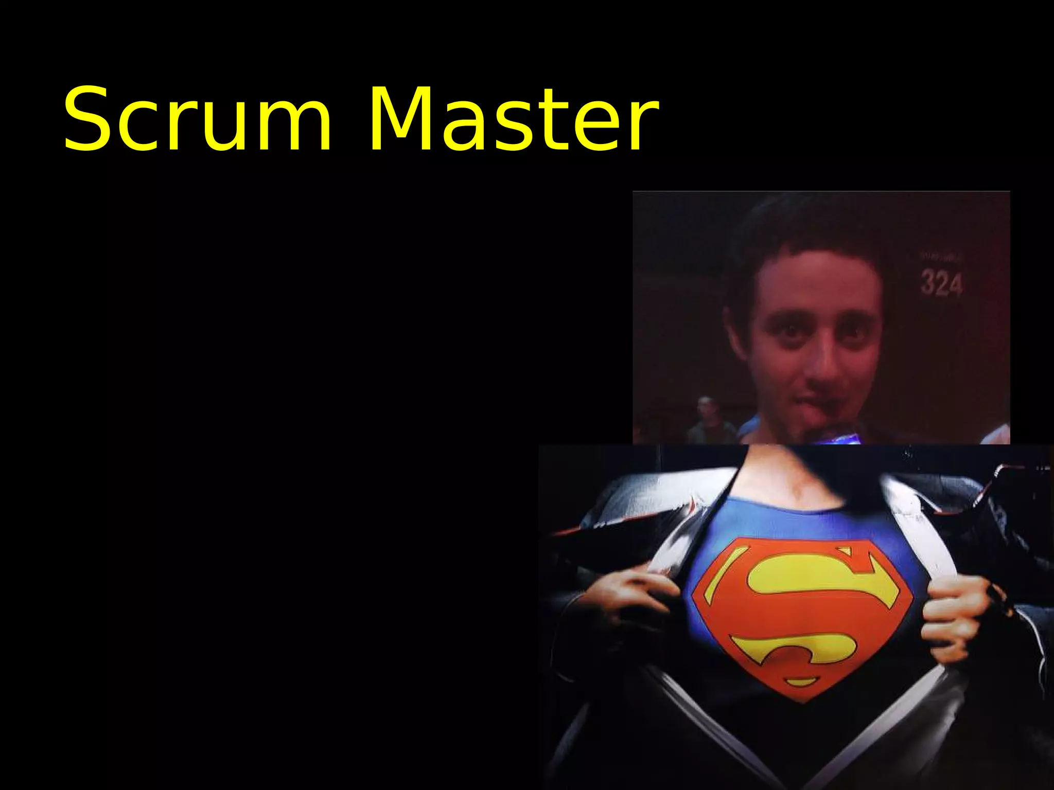 Scrum Master
 