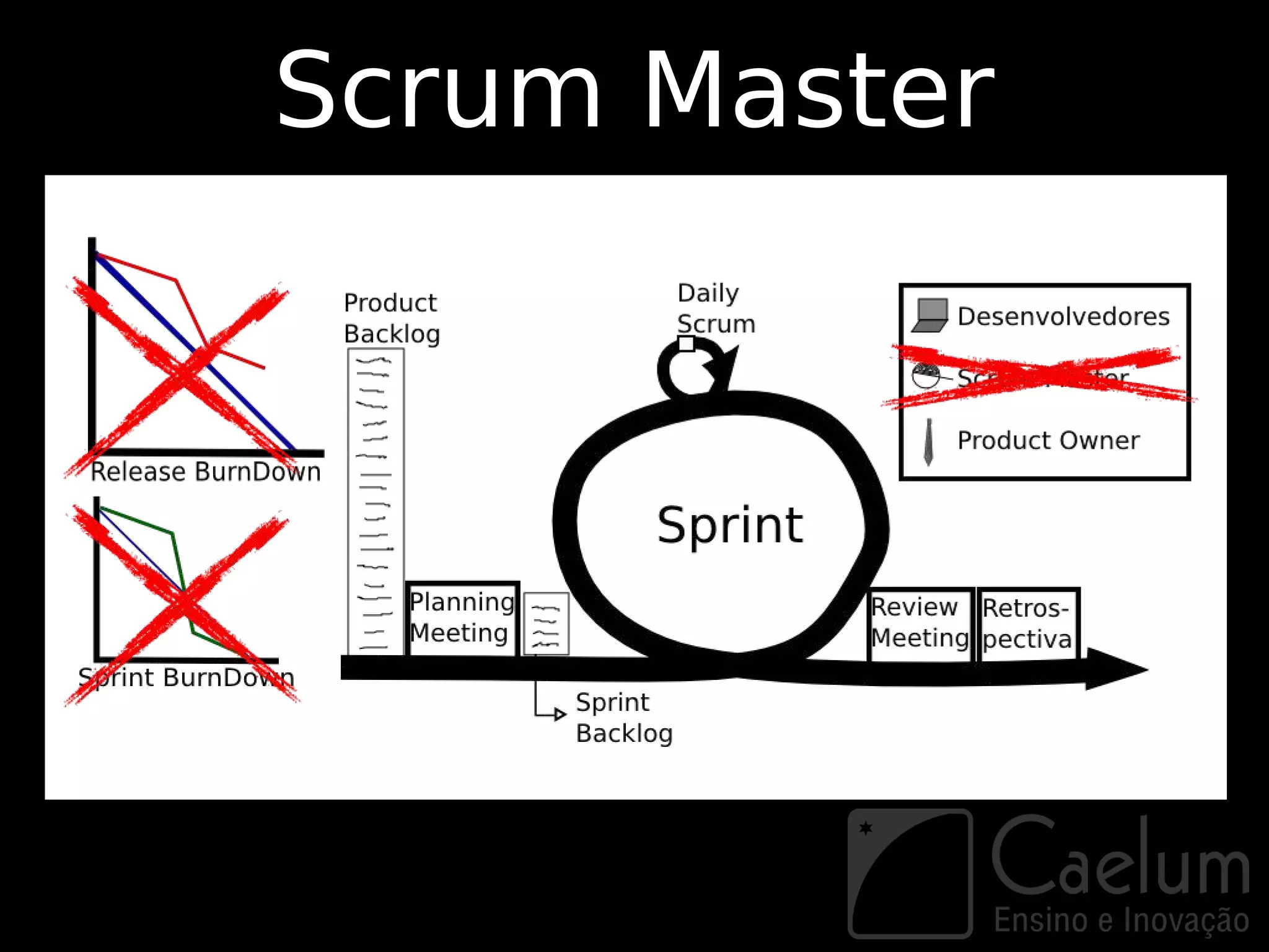 Scrum Master
 