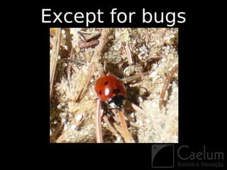 Except for bugs
 