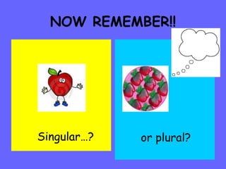 NOW REMEMBER!! Singular…? or plural? 