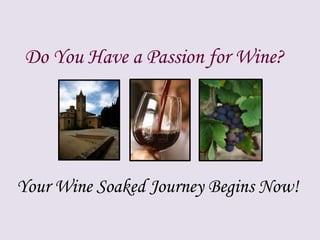 Do You Have a Passion for Wine?Your Wine Soaked Journey Begins Now!