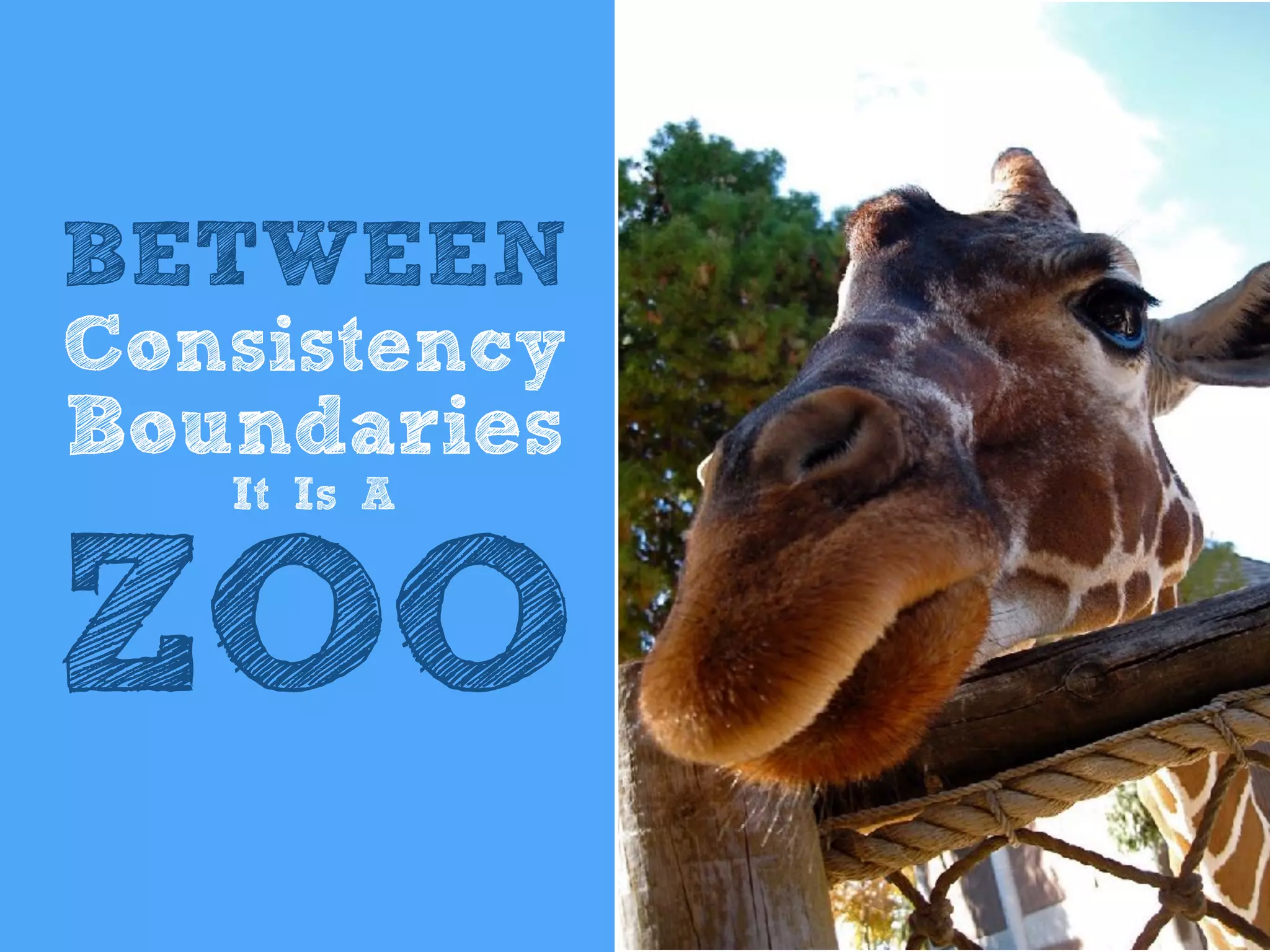BETWEEN
Consistency
Boundaries
It Is A
ZOO
 