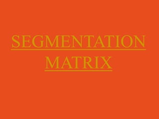 SEGMENTATION
   MATRIX
 