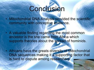 Conclusion Mitochondrial DNA Analysis provided the scientific community with conceptive evidence. A valuable finding regarding the most common ancestor is the she came from Africa which supports theories about the spread of hominids. Africans have the greats diversity of Mitochondrial DNA sequences making it a supporting factor that is hard to dispute among researchers. 