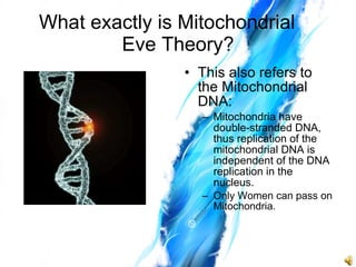 What exactly is Mitochondrial  Eve Theory? This also refers to the Mitochondrial DNA: Mitochondria have double-stranded DNA, thus replication of the mitochondrial DNA is independent of the DNA replication in the nucleus. Only Women can pass on Mitochondria. 