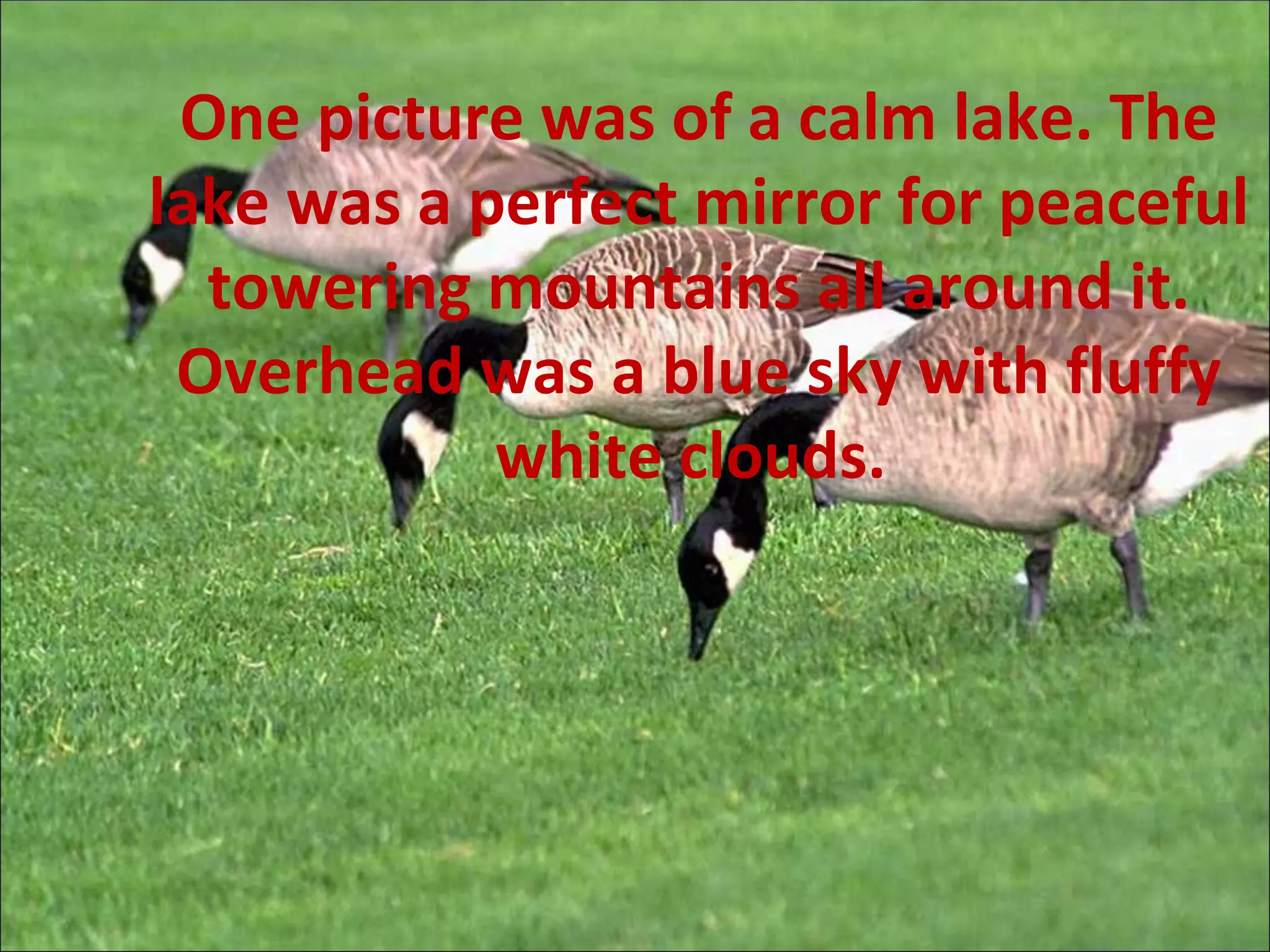 MY PEACE MEANING visual data 7