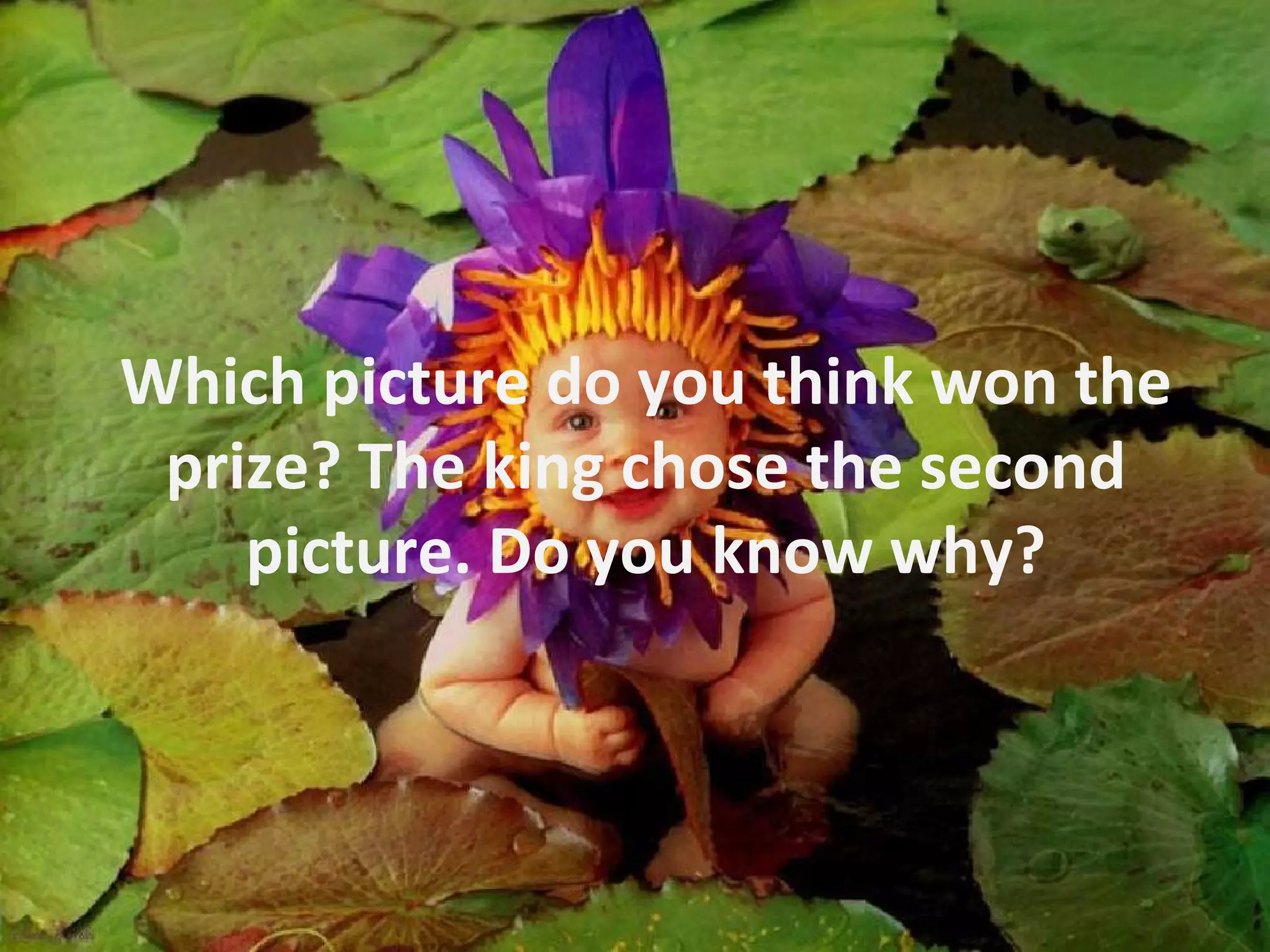 MY PEACE MEANING visual data 8