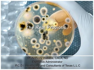 The Real ProbioticThe Real Probiotic
Dr. Anthony Wallace, CALA, NDDr. Anthony Wallace, CALA, ND
Executive AdministratorExecutive Administrator
P.C.D.I. Healthcare and Consultants of Texas L.L.CP.C.D.I. Healthcare and Consultants of Texas L.L.C
 