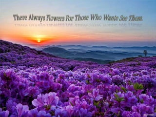 There always flowers