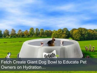 Fetch Create Giant Dog Bowl to Educate Pet
Owners on Hydration…
 