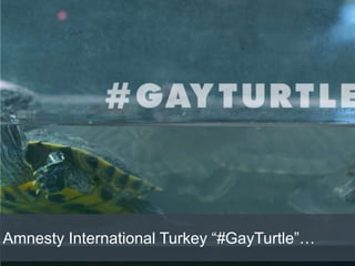 Amnesty International Turkey “#GayTurtle”…
 