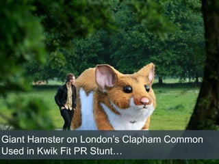 Giant Hamster on London’s Clapham Common
Used in Kwik Fit PR Stunt…
 