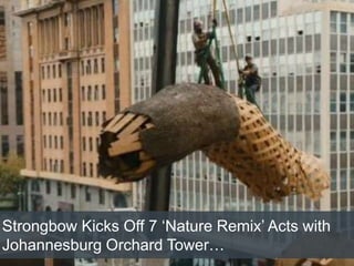 Strongbow Kicks Off 7 ‘Nature Remix’ Acts with
Johannesburg Orchard Tower…
 
