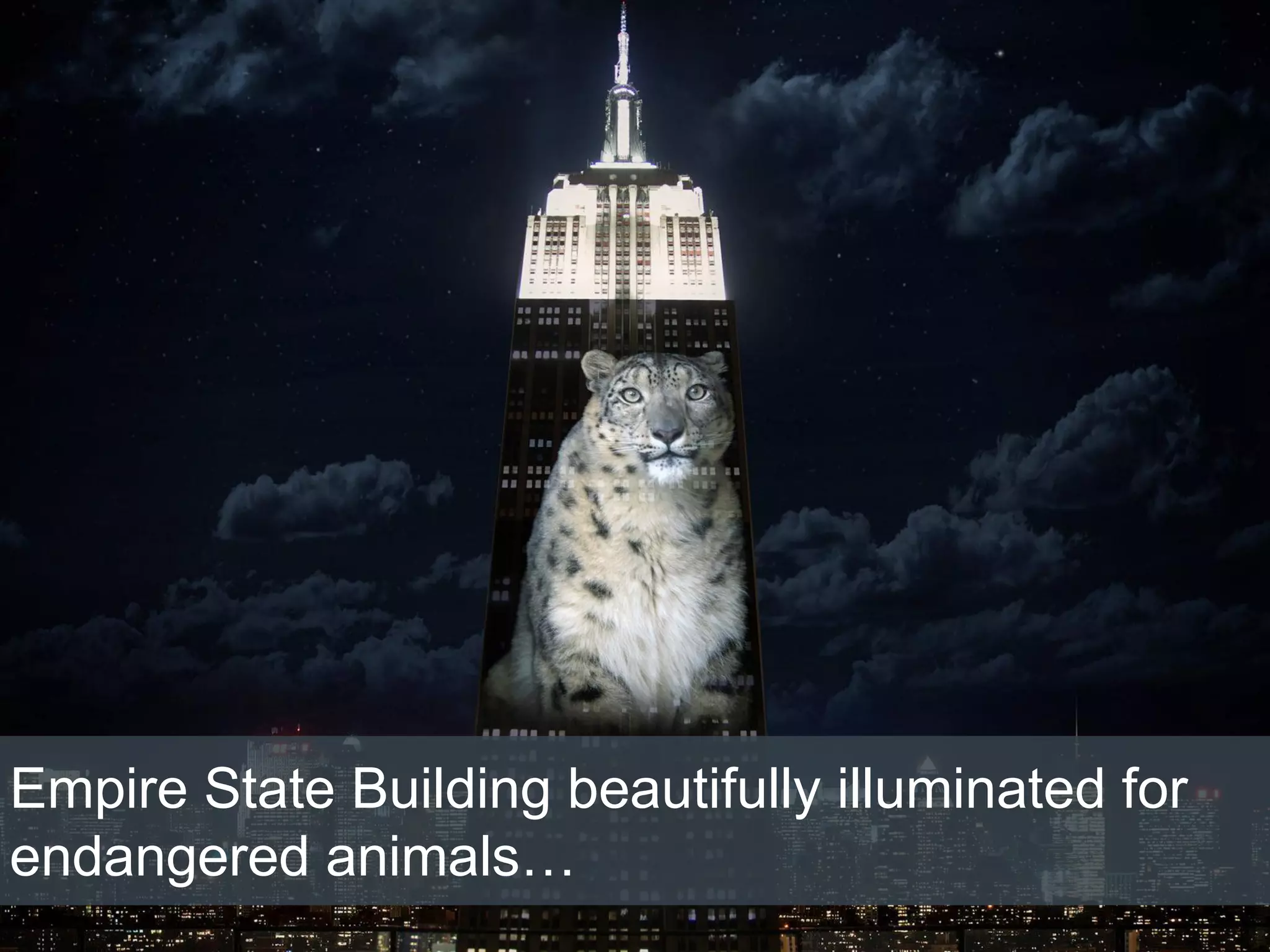 10/1/2015
Empire State Building beautifully illuminated for
endangered animals…
 