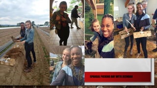 SPARGAL PICKING DAY WITH ZECHBAU