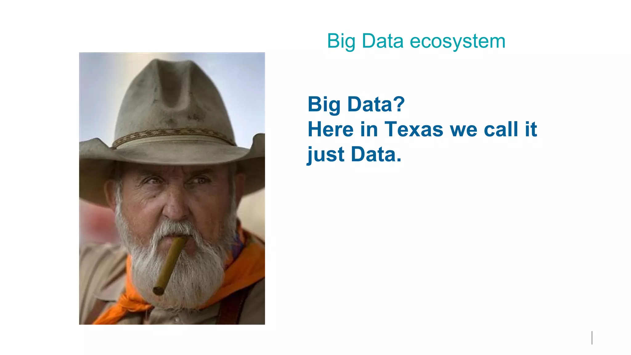 CLICK TO ADD
TITLE
Big Data ecosystem
Big Data?
Here in Texas we call it
just Data.
 