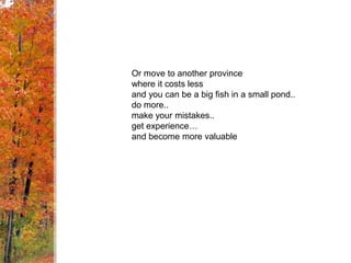 Or move to another province where it costs less and you can be a big fish in a small pond..do more..make your mistakes..get experience… and become more valuable