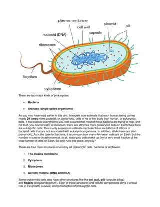 There are two major kinds of prokaryotes:

        Bacteria

        Archaea (single-celled organisms)

As you may have read earlier in this unit, biologists now estimate that each human being carries
nearly 20 times more bacterial, or prokaryotic, cells in his or her body than human, or eukaryotic,
cells. If that statistic overwhelms you, rest assured that most of these bacteria are trying to help, and
not hurt, you. Numerically, at minimum, there are 20 times more prokaryotic cells on Earth than there
are eukaryotic cells. This is only a minimum estimate because there are trillions of trillions of
bacterial cells that are not associated with eukaryotic organisms. In addition, all Archaea are also
prokaryotic. As is the case for bacteria, it is unknown how many Archaean cells are on Earth, but the
number is sure to be astronomical. In all, eukaryotic cells make up only a very small fraction of the
total number of cells on Earth. So who runs this place, anyway?

There are four main structures shared by all prokaryotic cells, bacterial or Archaean:

    1. The plasma membrane

    2. Cytoplasm

    3. Ribosomes

    4. Genetic material (DNA and RNA)

Some prokaryotic cells also have other structures like the cell wall, pili (singular pillus),
and flagella (singular flagellum). Each of these structures and cellular components plays a critical
role in the growth, survival, and reproduction of prokaryotic cells.
 