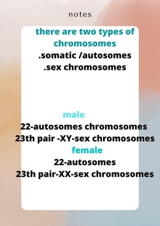notes
there are two types of
chromosomes
.somatic /autosomes
.sex chromosomes






male
22-autosomes chromosomes
23th pair -XY-sex chromosomes
female
22-autosomes
23th pair-XX-sex chromosomes


 