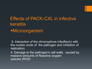 Effects of PACK-CXL in infective
keratitis
Microorganism:
3- Interaction of the chromophore (riboﬂavin) with
the nucleic acids of the pathogen and inhibition of
replication.
4. Damage to the pathogen’s cell walls caused by
massive amounts of Reactive oxygen
species (ROS)
 