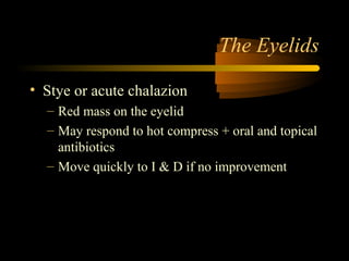 The Eyelids
• Stye or acute chalazion
– Red mass on the eyelid
– May respond to hot compress + oral and topical
antibiotics
– Move quickly to I & D if no improvement
 