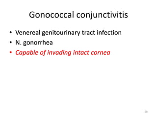 Gonococcal conjunctivitis
• Venereal genitourinary tract infection
• N. gonorrhea
• Capable of invading intact cornea
58
 