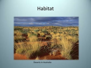 HabitatDeserts in Australia