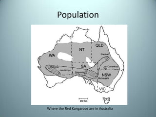 PopulationWhere the Red Kangaroos are in Australia