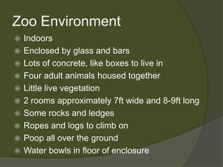 Zoo EnvironmentIndoorsEnclosed by glass and barsLots of concrete, like boxes to live inFour adult animals housed togetherLittle live vegetation2 rooms approximately 7ft wide and 8-9ft longSome rocks and ledgesRopes and logs to climb onPoop all over the groundWater bowls in floor of enclosure