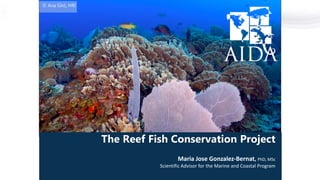 © Ana Giró, HRI
The Reef Fish Conservation Project
Maria Jose Gonzalez-Bernat, PhD, MSc
Scientific Advisor for the Marine and Coastal Program
 