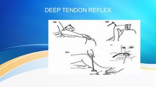 The reflexes -Practicals | PDF