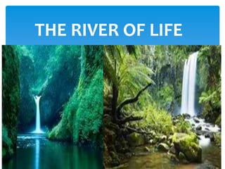 THE RIVER OF LIFE
 